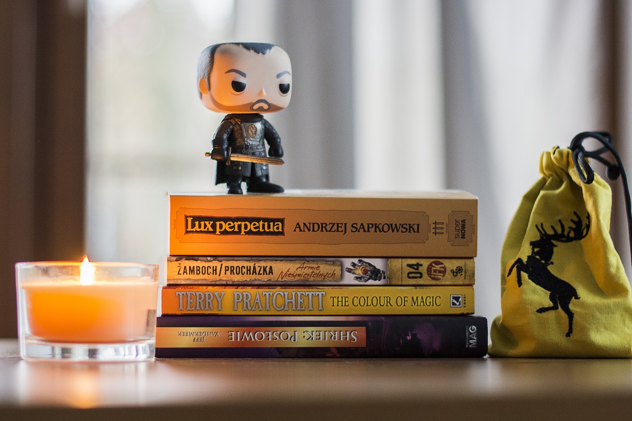 Knyga, Krūva, Stannis Baratheon, Premijų Žaidimas, Stannis, Biblioteka, Žinios, Skaityti, Skaitymas, Švietimas