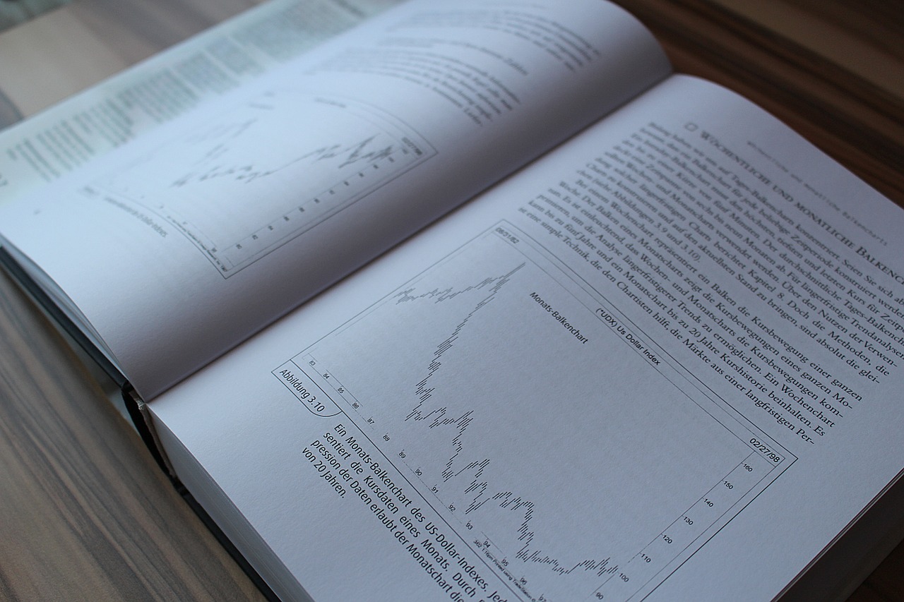 Knyga, Turinys, Profesionalus Skaitymas, Tradingbuch, Nemokamos Nuotraukos,  Nemokama Licenzija