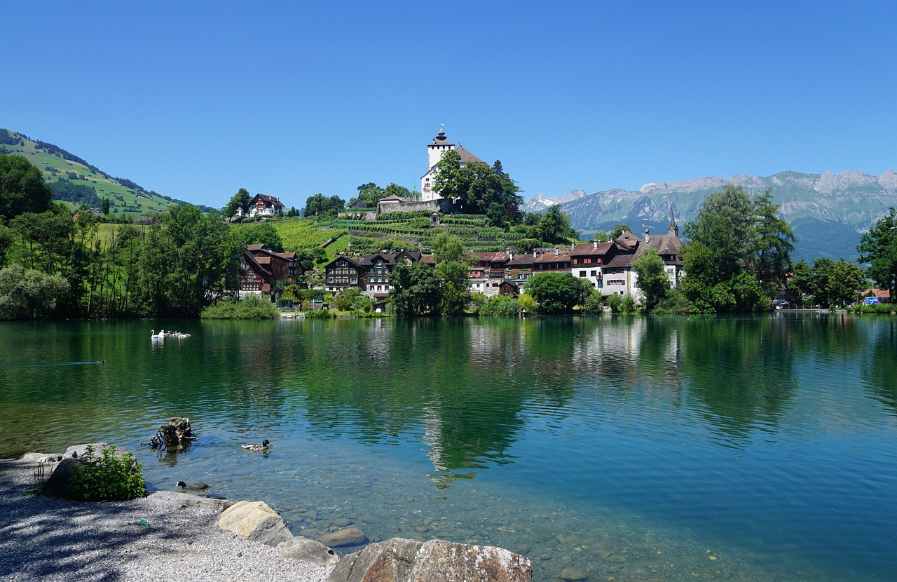 Knyga, Ežeras, Werdenbergersee, Sankt Gallen, Nemokamos Nuotraukos,  Nemokama Licenzija