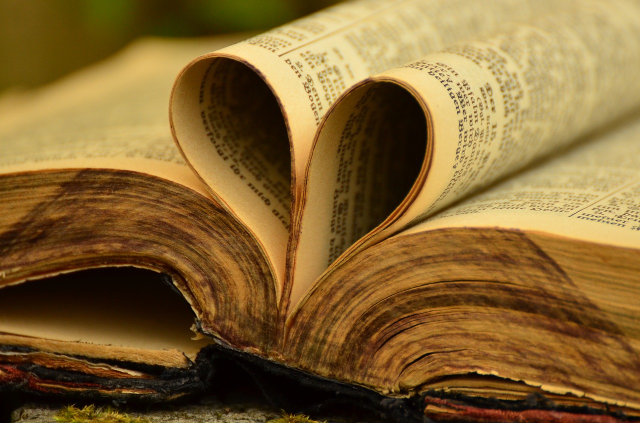 Knyga, Biblija, Senas, Senovinis, Puslapiai, Knygų Puslapiai, Krikščionybė, Religija, Tikėjimas, Skaityti