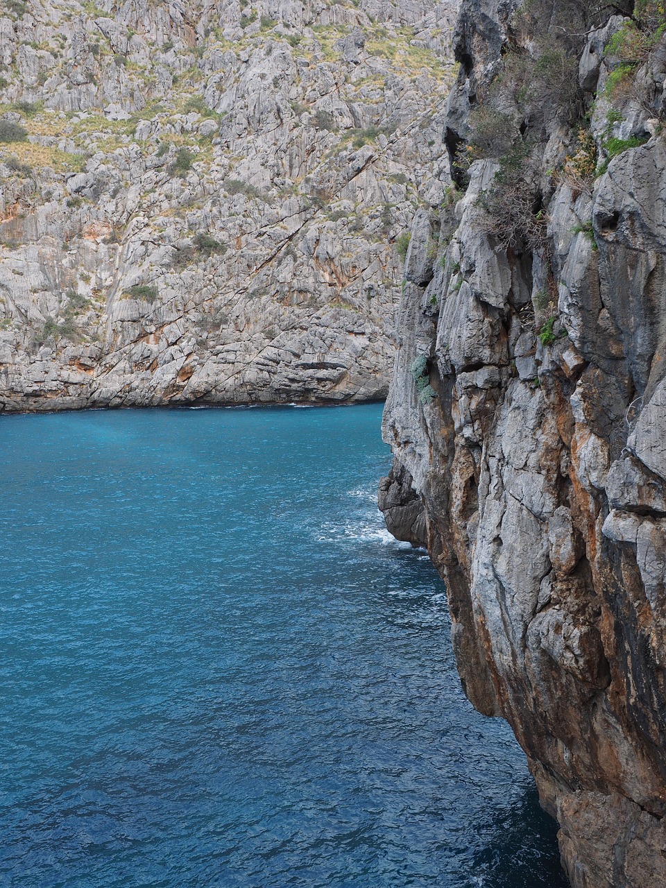 Užsakytas, Sa Kalobra, Kalio Bosas, Serra De Tramuntana, Juros Įlanka, Maljorka, Lankytinos Vietos, Gamtos Stebūklai, Uolos, Nemokamos Nuotraukos