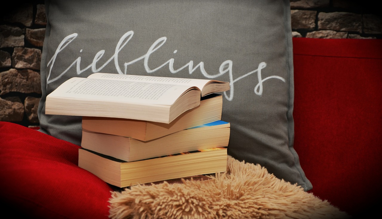 Knygos, Knyga, Mėgstamiausia Knyga, Atsipalaiduoti, Skaityti, Literatūra, Nuotaika, Jaukus, Sofa, Pagalvė