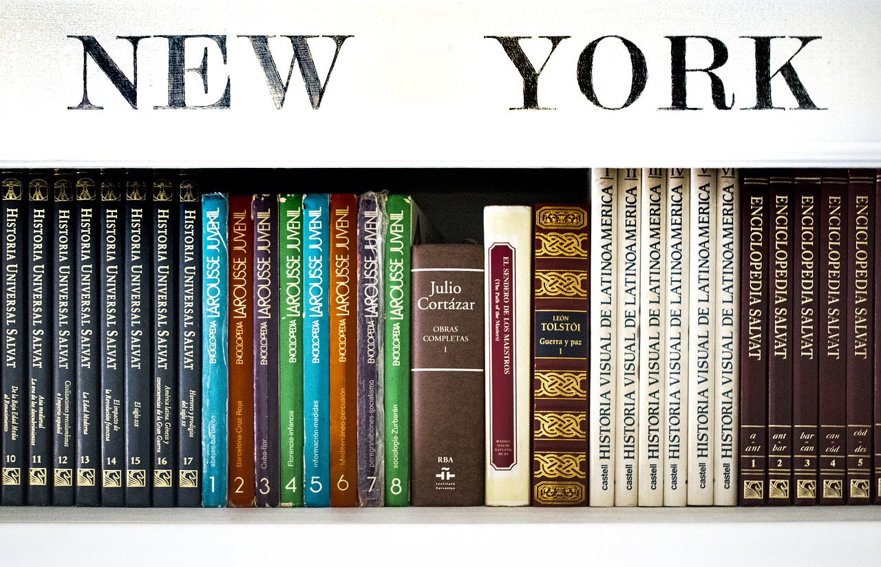 Knygos, Biblioteka, Skaitymas, Švietimas, Lentynos, Aš Esu Studentė, Apimtis, Žinant, Skaitytojas, Niujorkas
