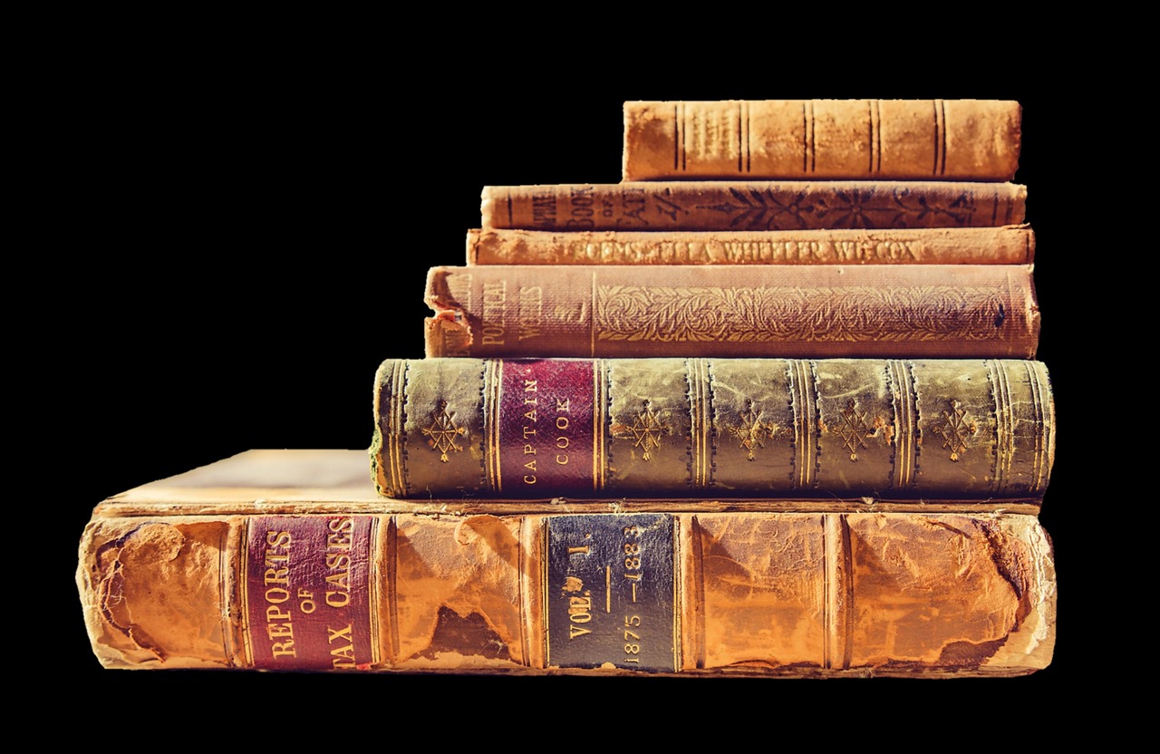Knygos, Skaityti, Literatūra, Tvirtovė, Senos Knygos, Knygų Krūva, Biblioteka, Mokytis, Popierius, Tekstas