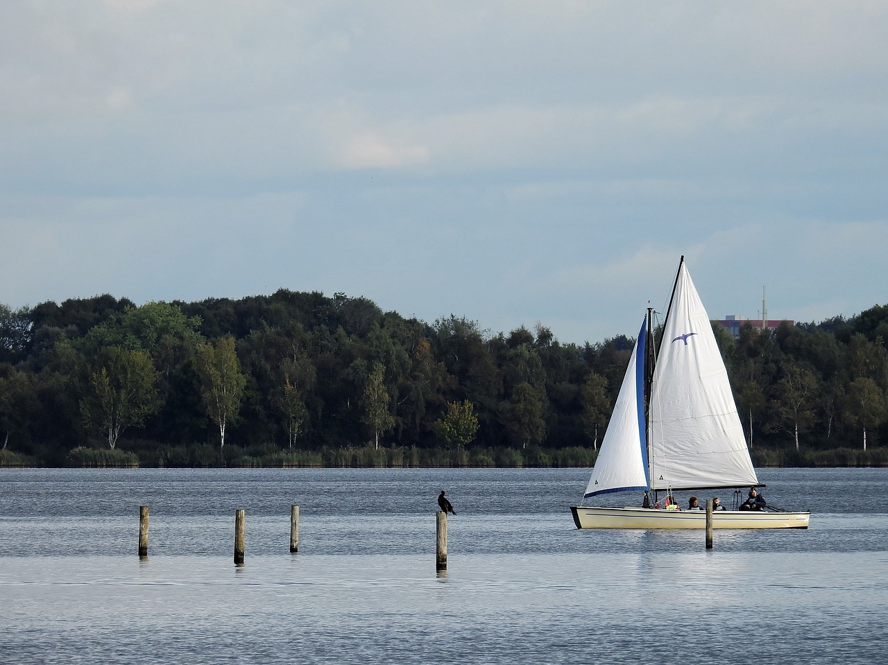 Boot, Laivas, Burinė Valtis, Vanduo, Ežeras, Šiaurės Jūra, Holland, Nyderlandai, Jūra, Mėlynas