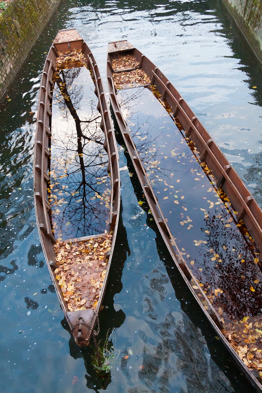 Boot, Zille, Transporto Laivas, Danube, Ruduo, Lapai, Vanduo, Veidrodis, Medis, Nemokamos Nuotraukos