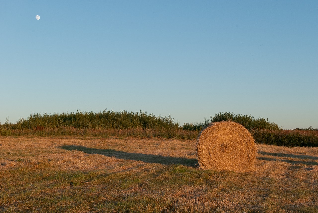 Įkrovos,  Laukai,  Saulėlydžio,  Gamta Ir Gyvūnijos,  Twilight,  Šiaudų,  Dangus,  Kraštovaizdis,  Pobūdį,  Laukas