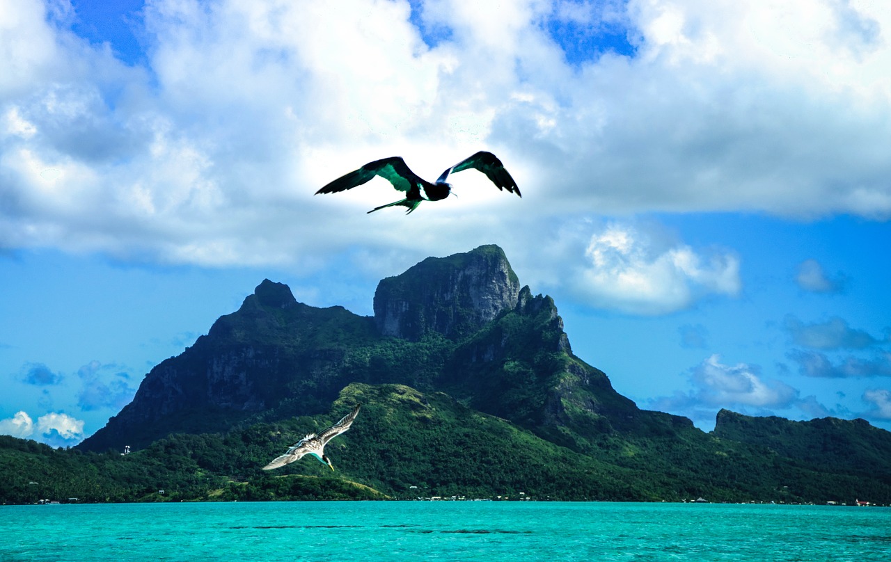 Bora Bora,  Pietų Ramiojo Vandenyno Regionas,  Polinezija,  Prancūzų Kalba,  Tahiti,  Kelionė,  Vanduo,  Paukštis,  Prabanga,  Egzotiškas
