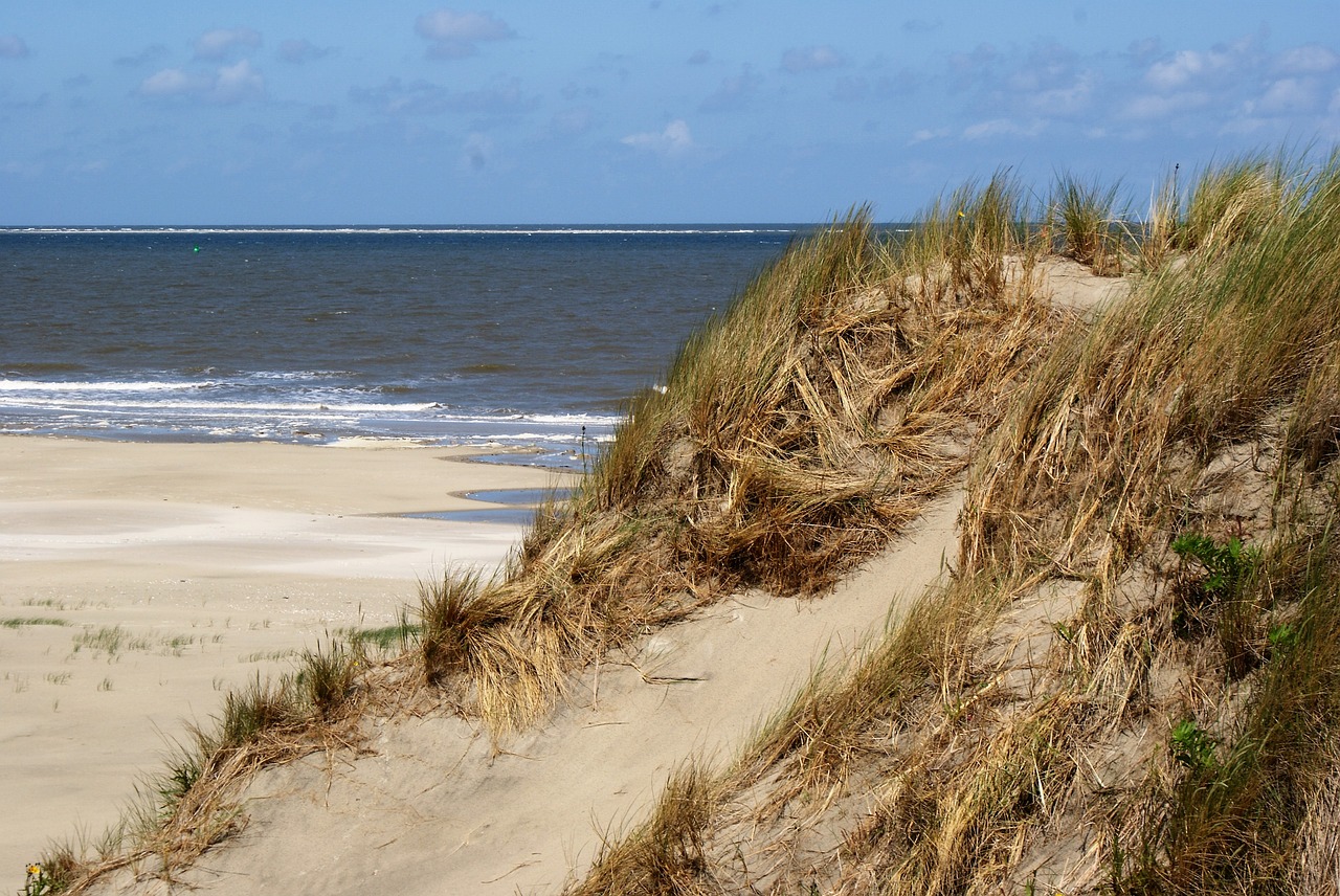 Borkum, Šiaurės Jūra, Papludimys, Nemokamos Nuotraukos,  Nemokama Licenzija