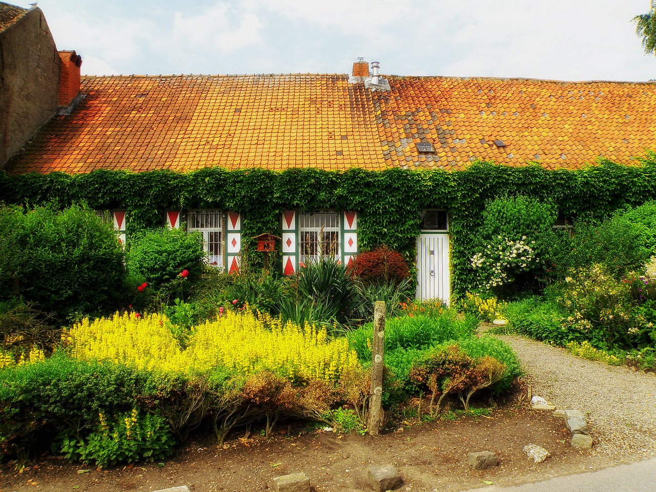 Borsbeek, Nyderlandai, Namas, Namai, Namelis, Vasara, Gėlės, Augalai, Sodas, Ivy 