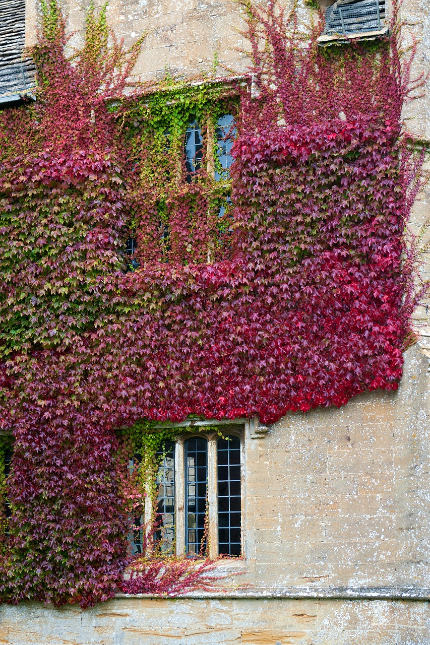 Bostono Gebenė, Akmeninė Siena, Alpinizmas, Padengti, Rudens Spalva, Langas, Architektūra, Mullions, Akmens Gaubtai, Uk