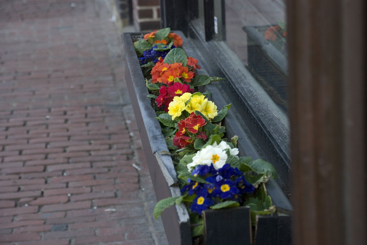 Bostono Pavasaris, Charles St, Gėlės, Nemokamos Nuotraukos,  Nemokama Licenzija