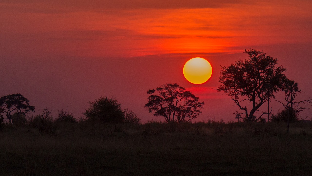 Botsvana, Okavango Delta, Saulėlydis, Nemokamos Nuotraukos,  Nemokama Licenzija