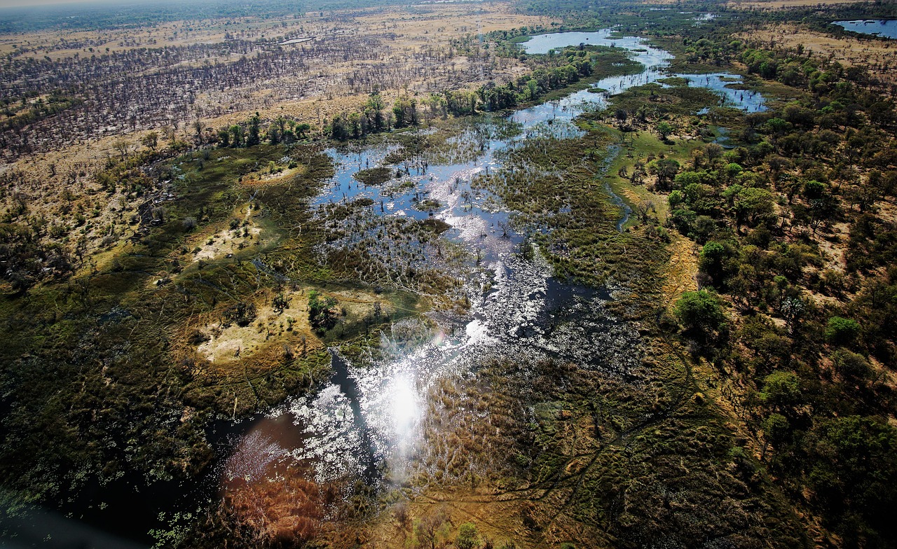 Botsvana, Okavango, Delta, Maun, Nemokamos Nuotraukos,  Nemokama Licenzija