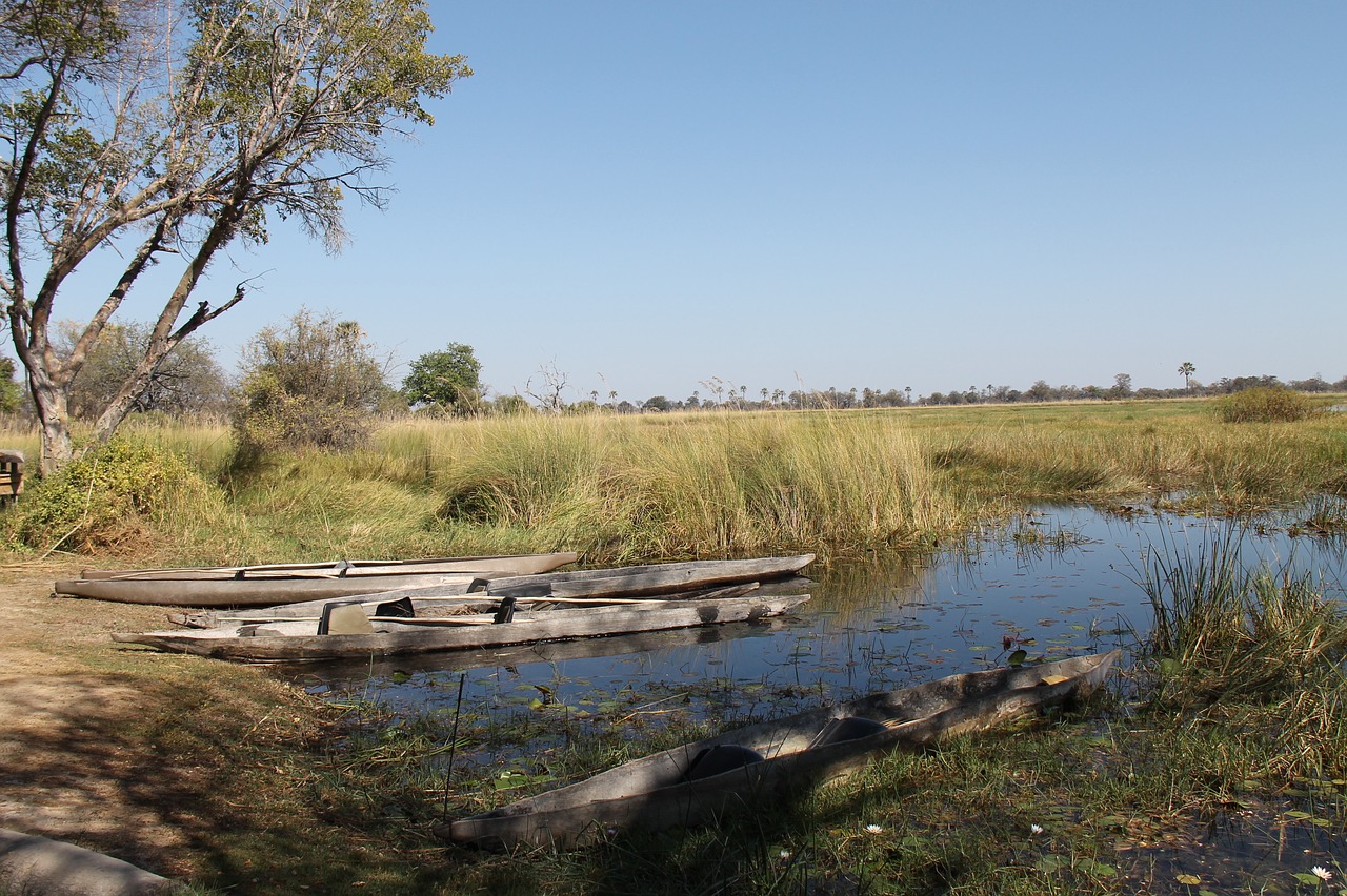 Botsvana,  Okavango Delta,  Mokoro,  Delta, Nemokamos Nuotraukos,  Nemokama Licenzija