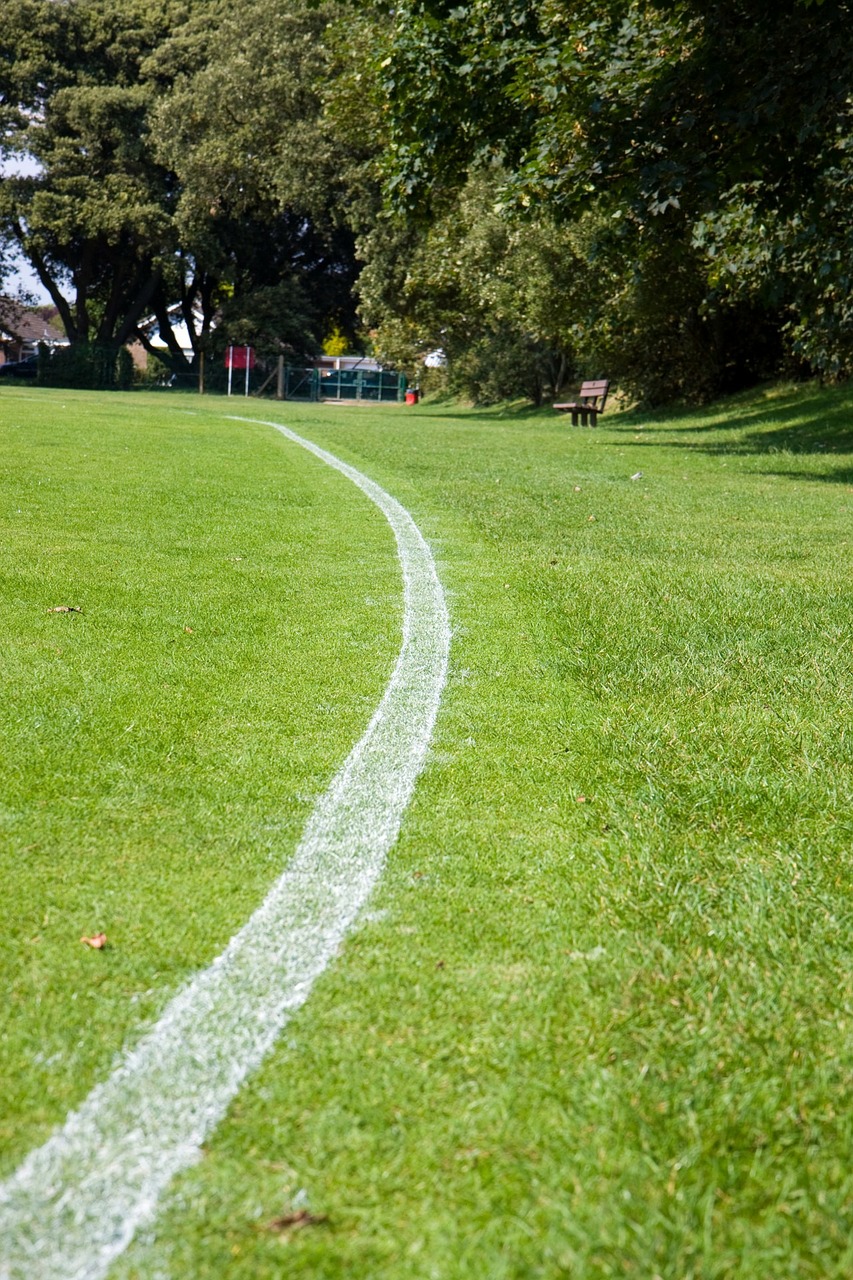 Ribos Linija, Balta, Linija, Riba, Žymeklis, Žalias, Žolė, Sportas, Laukas, Nemokamos Nuotraukos