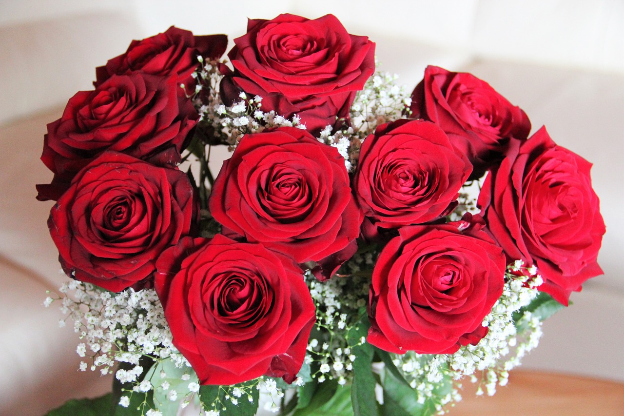Rožių Puokštė, Baccarat, Raudonos Rožės, Motinos Diena, Gimtadienis, Valentino Diena, Aš Tave Myliu, Raudona, Gėlės, Rožių Karalienė
