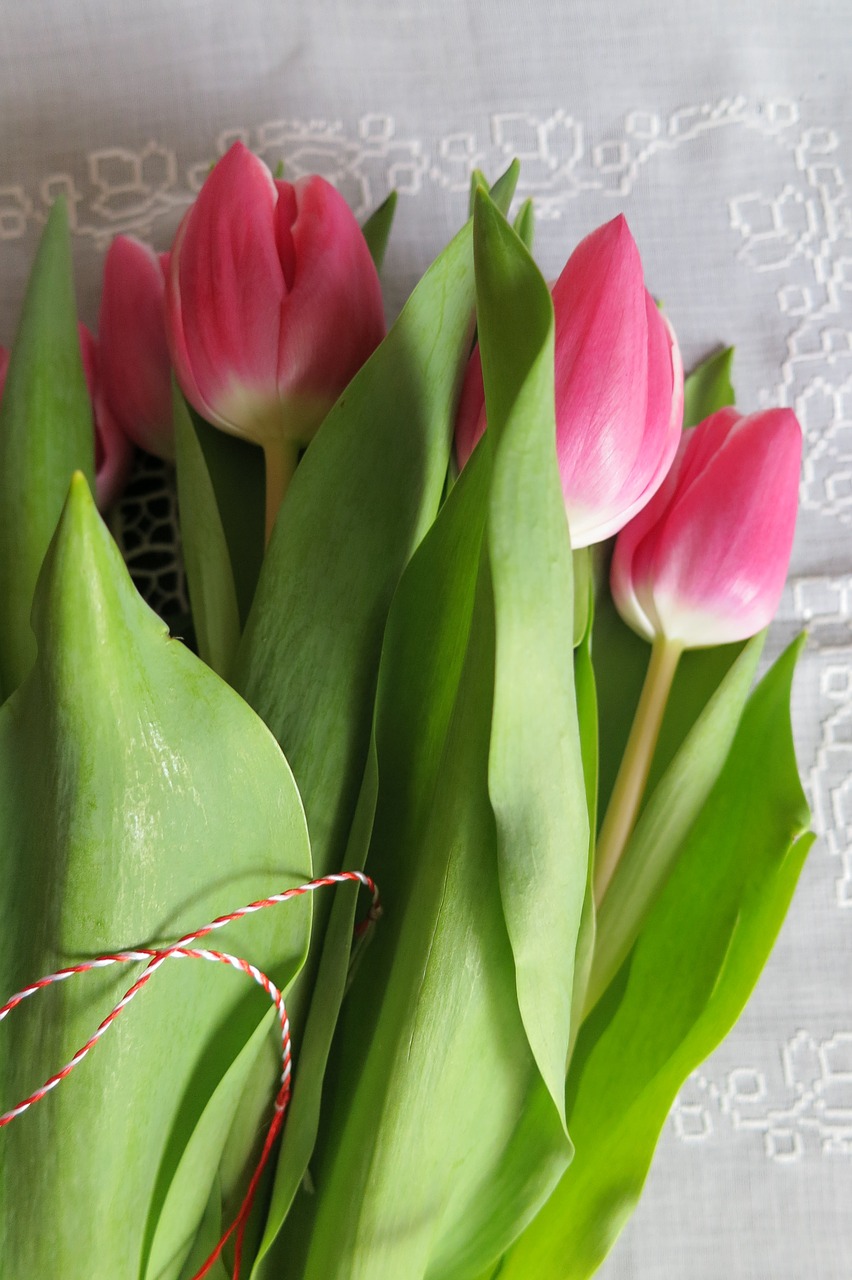 Puokštė Tulpės, Gėlės Paveikslai, Motina, Kovo 8 D ., Nemokamos Nuotraukos,  Nemokama Licenzija