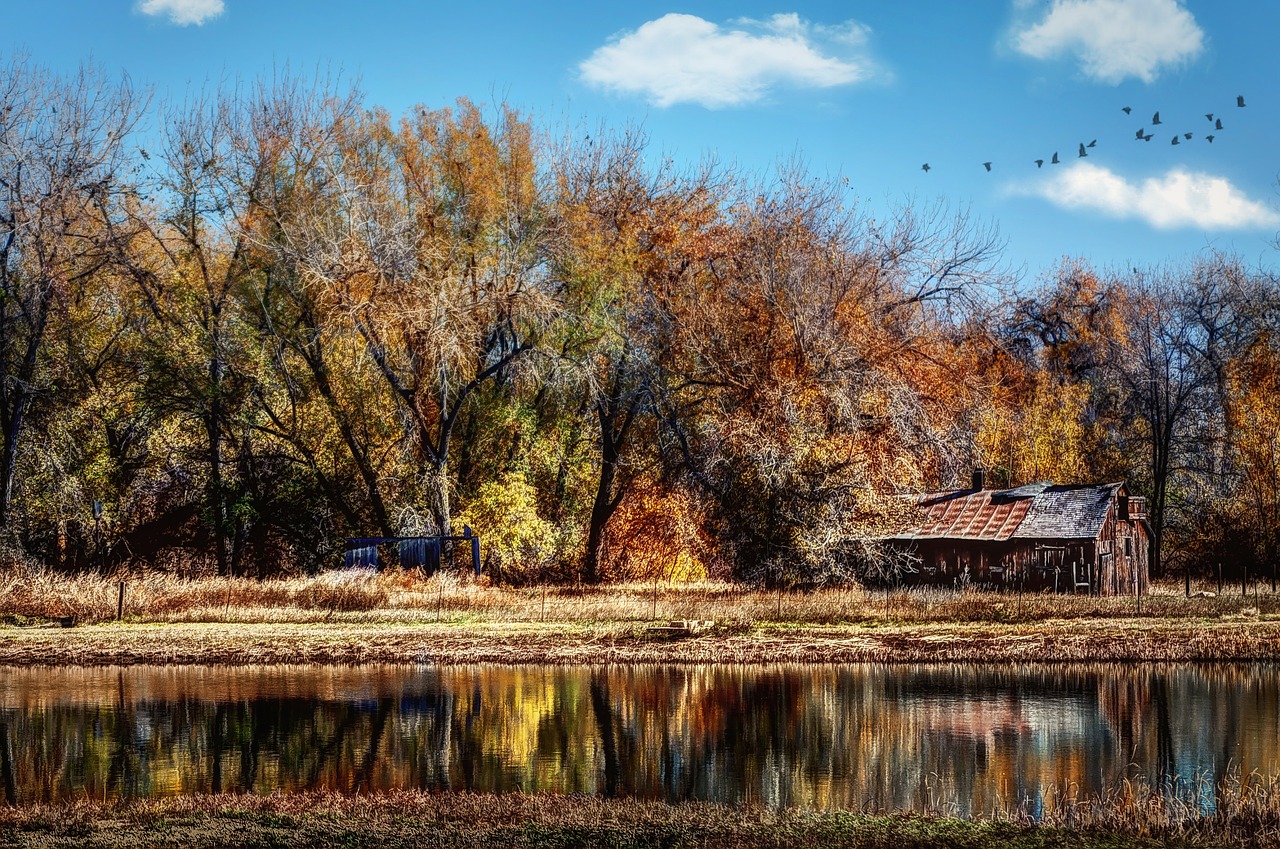 Dėžutė, Ruduo, Kritimas, Kaimas, Ūkis, Ranča, Kajutė, Istorinis, Fort Collins, Colorado