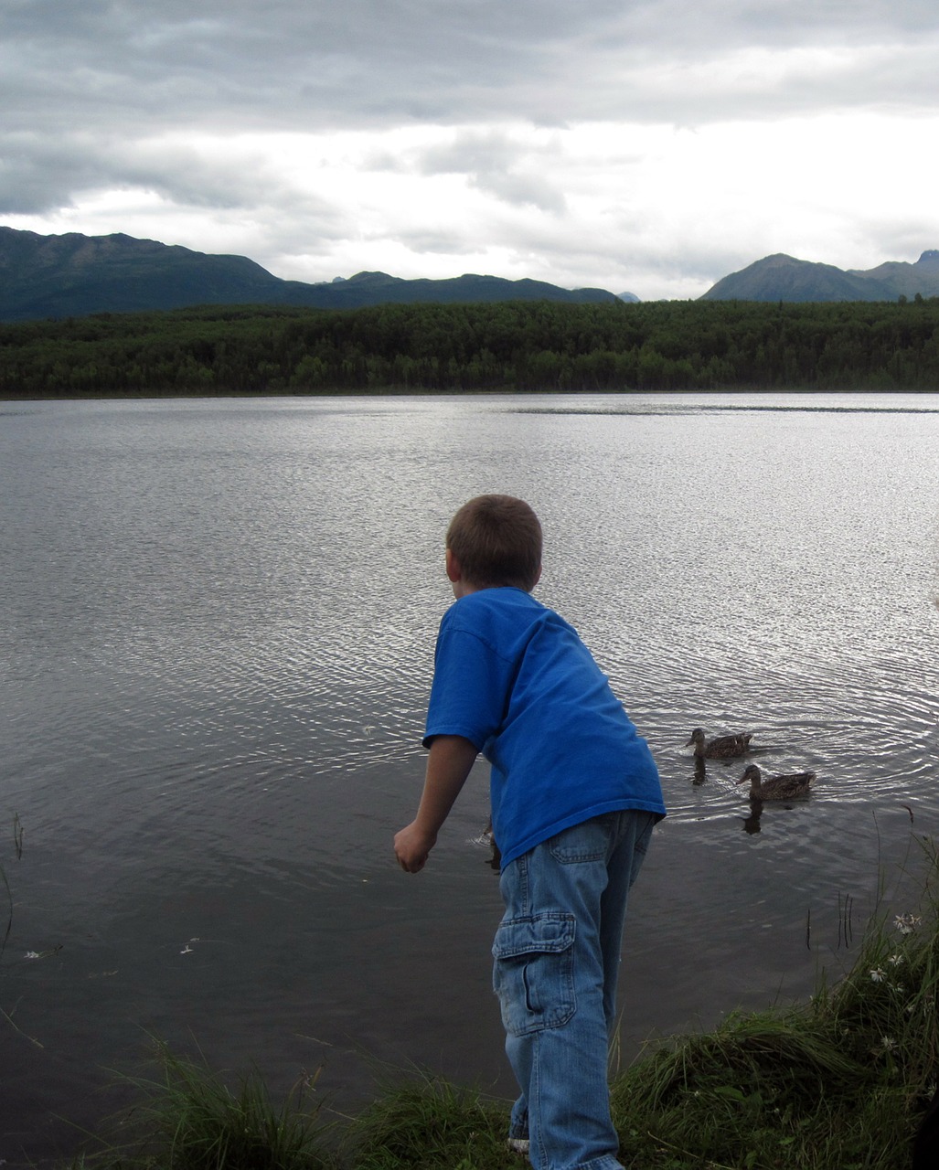 Berniukas, Alaska, Ežeras, Kalnai, Antis, Vanduo, Paukštis, Nemokamos Nuotraukos,  Nemokama Licenzija