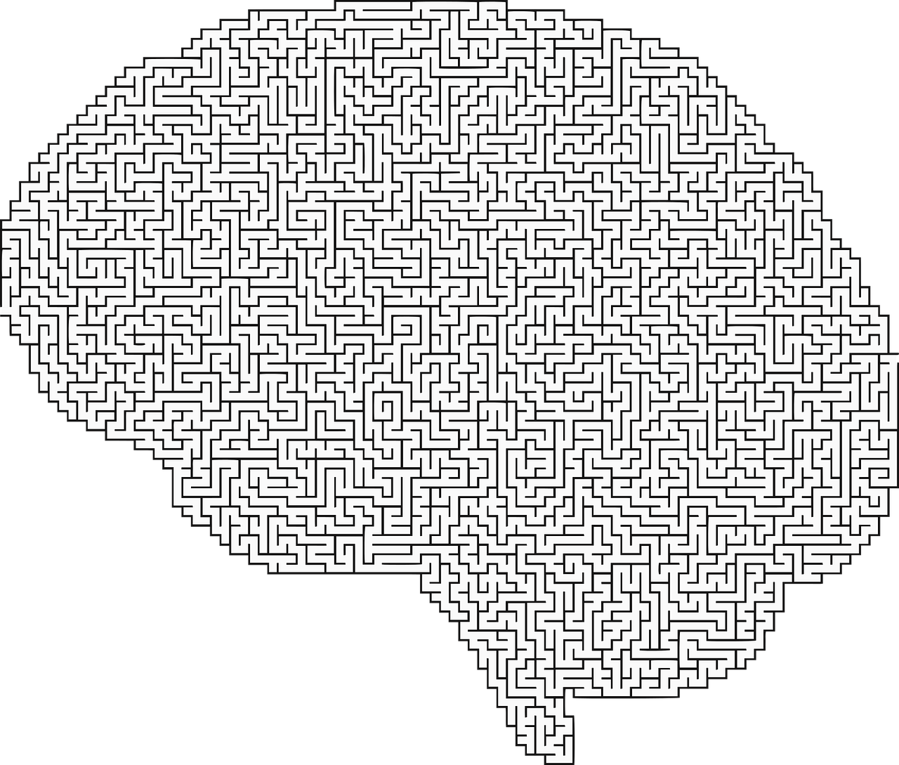 Smegenys, Galvos Smegenys, Galva, Psichologija, Kaukolė, Galvoti, Mintis, Protas, Labirintas, Galvosūkis