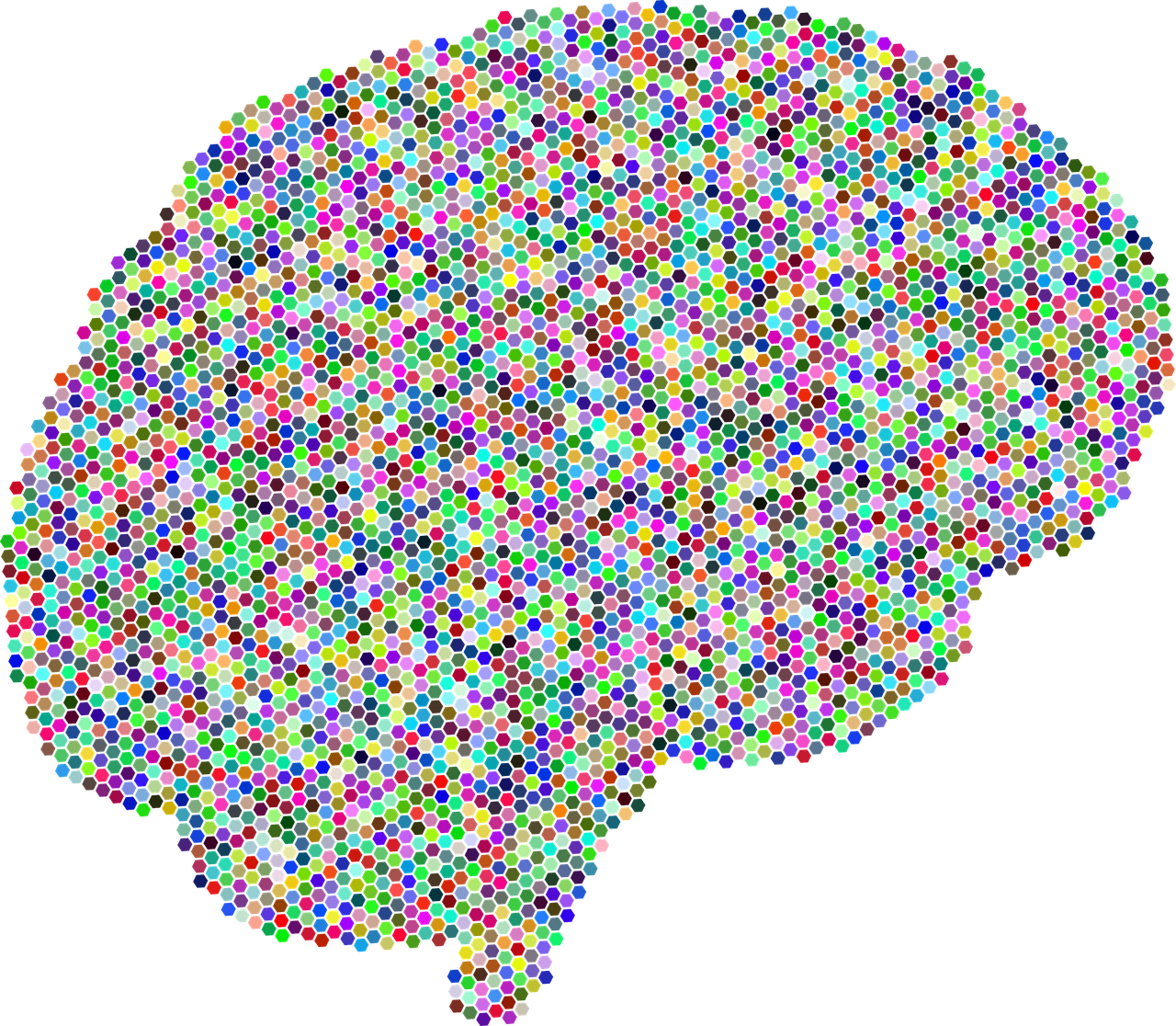 Smegenys,  A,  I,  Ai,  Anatomija,  Dirbtinis Intelektas,  Biologija,  Kompiuteris,  Galvos Smegenys,  Sveikata
