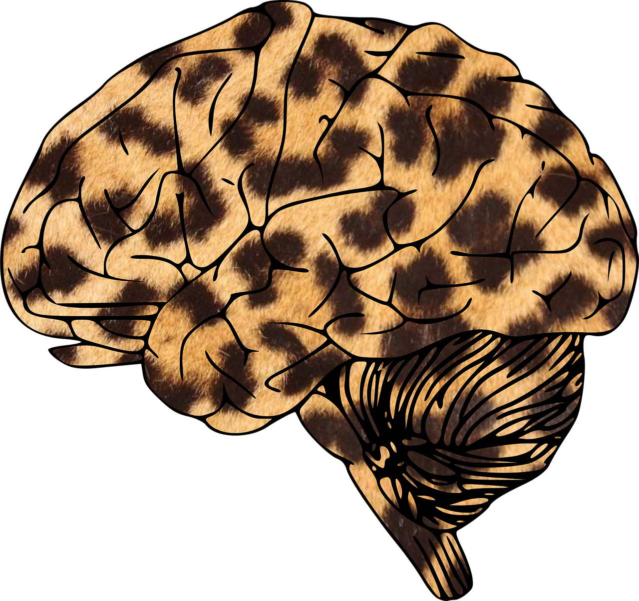Smegenys,  Leopardas,  Gyvūninės Spaudos,  Pluta,  Dėmės,  Išvestinis Darbas,  Gyvūnų Spausdinimas,  Pastebėtas,  Remiksas,  Nemokama Vektorinė Grafika