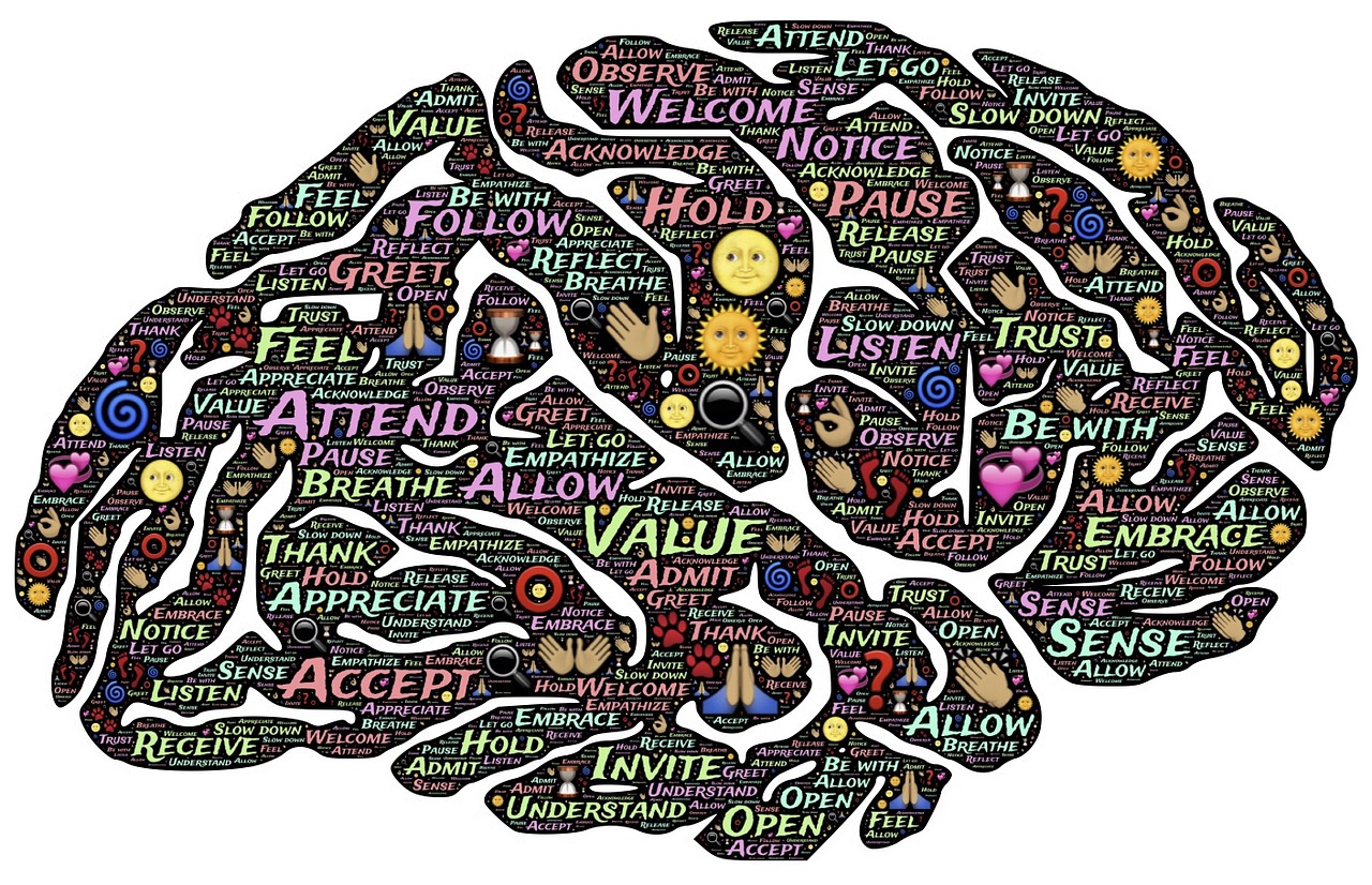 Smegenys,  Protas,  Buvimas,  Mąstysena,  Žvilgsnis,  Meditacija,  Savivoka,  Dėmesio,  Priėmimas,  Dėkingi