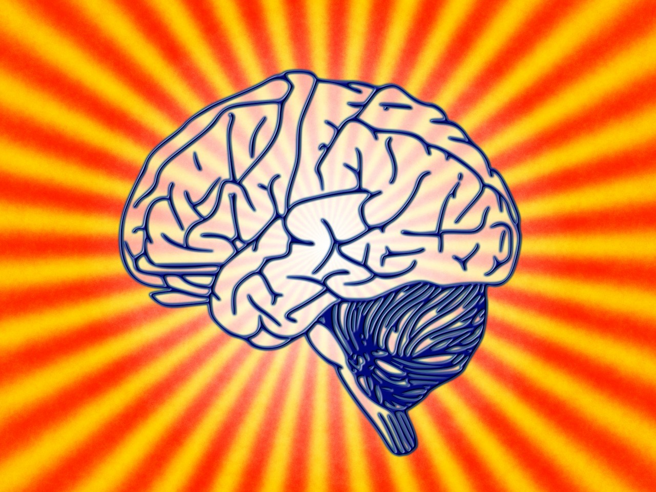 Smegenys, Mokslas, Biologija, Psichologija, Smegenų Tyrimai, Sąmoningumas, Psichoanalizė, Pasąmonė, Nesąmoningas, Psichika