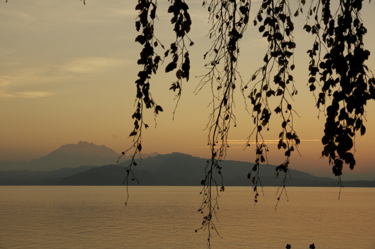 Filialai, Saulėlydis, Ežeras, Vakarinis Dangus, Abendstimmung, Vanduo, Nemokamos Nuotraukos,  Nemokama Licenzija