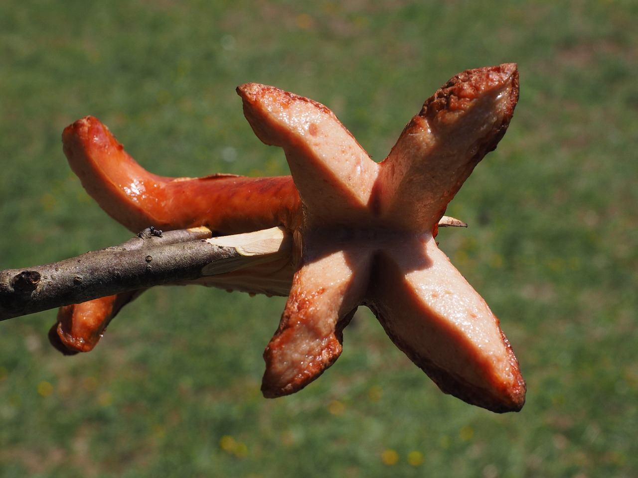 Bratwurst, Grilio Dešra, Raudona, Dešra, Grilis, Šypsotis, Kepkite, Šiluma, Valgyti, Mėsa