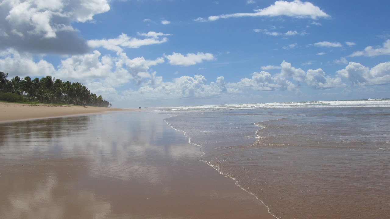 Brazilija Paplūdimio Paieškos Gyvenimas, Gelbėtojas, Royalty Free, Nemokamos Nuotraukos,  Nemokama Licenzija