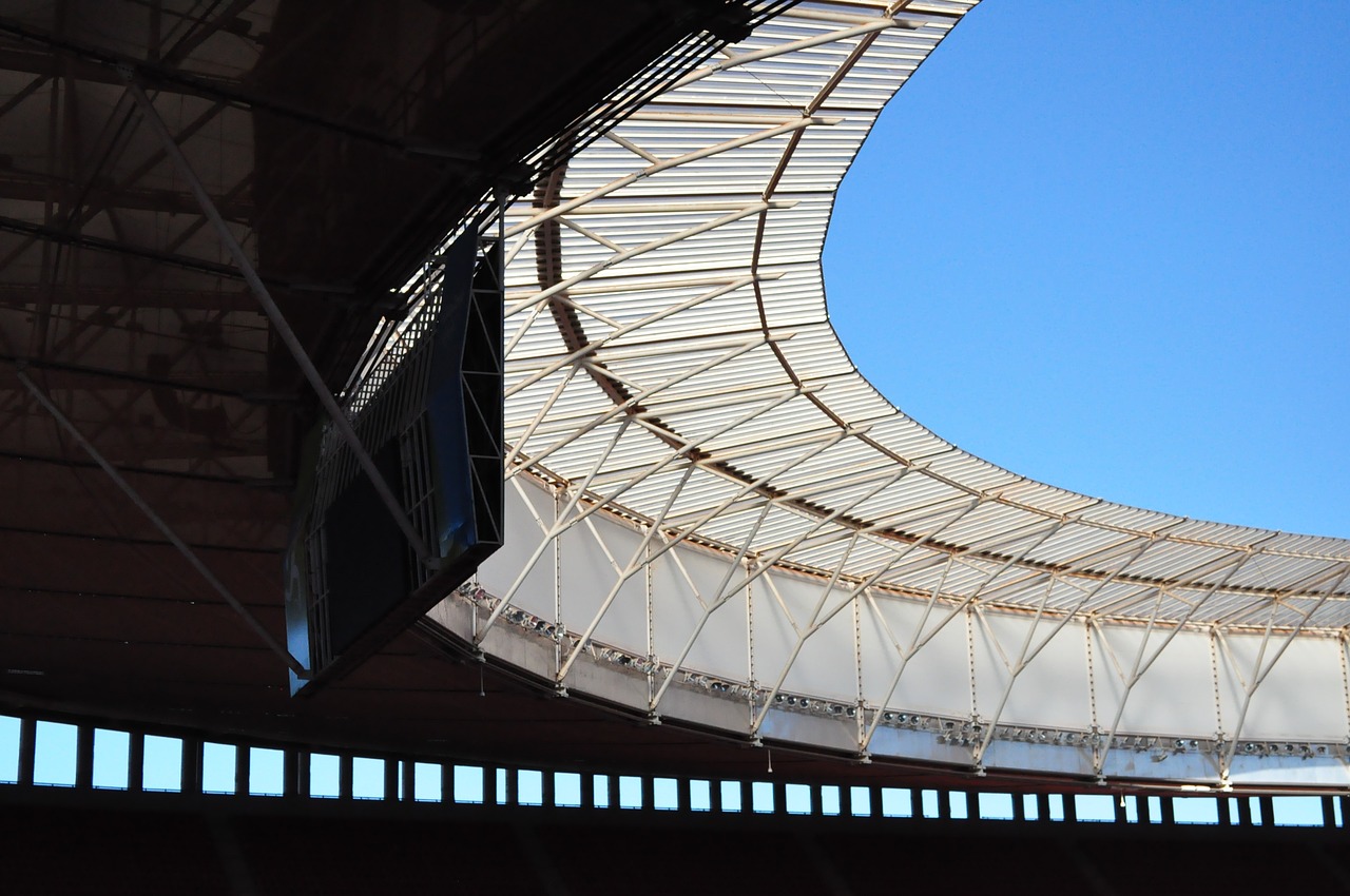 Brazilija,  Garrincha,  Stadionas,  Nemokama Iliustracijos, Nemokamos Nuotraukos,  Nemokama Licenzija