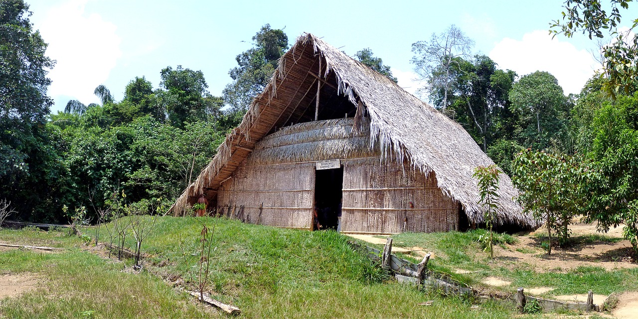 Brazilija, Atogrąžų Miškai, Gamta, Atogrąžų, Amazonas, Namelis, Indėnų Namelis, Nemokamos Nuotraukos,  Nemokama Licenzija