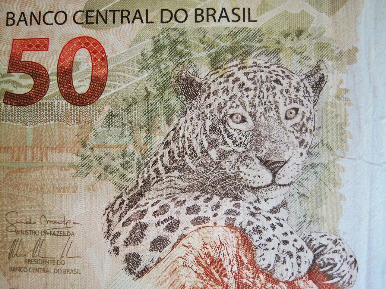Brazilijos Valiuta, Penkiasdešimt Nekilnojamojo Prisilietimo, Banknotas, Dolerio Kupiūra, Brazilija, Valiuta, Popieriniai Pinigai, Pinigai, Sąskaitą, Brazilijos Valiuta