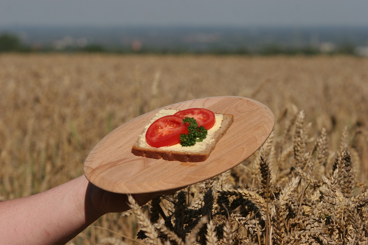 Duona, Grūdai, Grūdai, Mityba, Rugiai, Žemdirbystė, Miltai, Žinoma, Maistas, Vasara