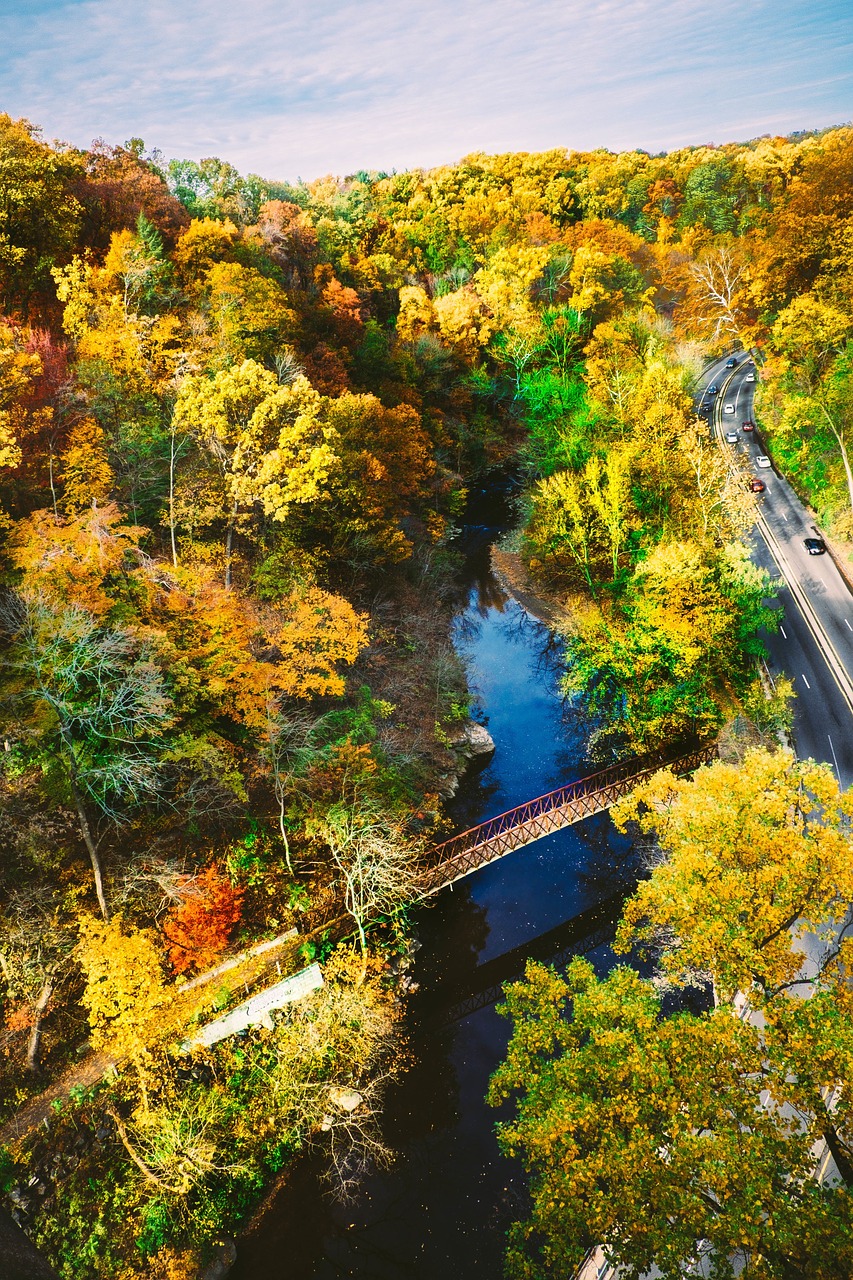 Tiltas, Upė, Miškas, Medžiai, Ruduo, Pėsčiųjų, Greitkelis, Kelias, Automobiliai, Eismas