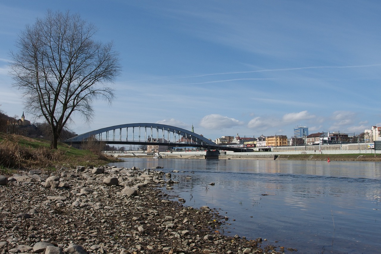 Tiltas, Medis, Panorama, Ústí Nad Labem, Elbe, Nemokamos Nuotraukos,  Nemokama Licenzija
