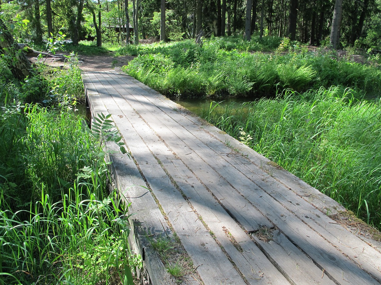 Tiltas, Langinkoski, Suomių, Erelis, Nemokamos Nuotraukos,  Nemokama Licenzija