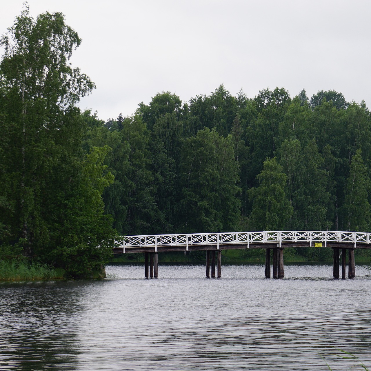 Tiltas, Medinis Tiltas, Baltas Tiltas, Ežeras, Sala, Medžiai, Suomių, Nemokamos Nuotraukos,  Nemokama Licenzija
