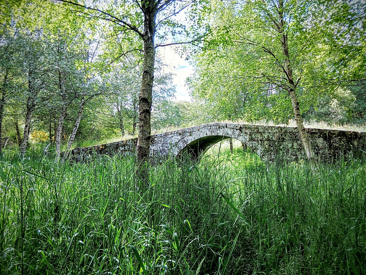 Tiltas, Gamta, Žolelės, Ribeira Sakra, Galicia, Nemokamos Nuotraukos,  Nemokama Licenzija