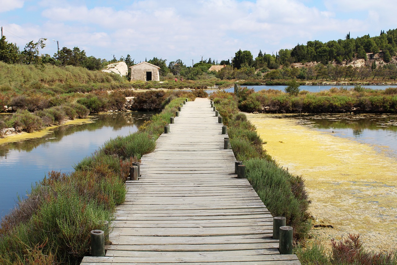 Tiltas, Druskos, Medinis Tiltas, Stilt, Jūrų Peyriac, France, Kelias, Netipiškas, Žygiai, Praėjimas