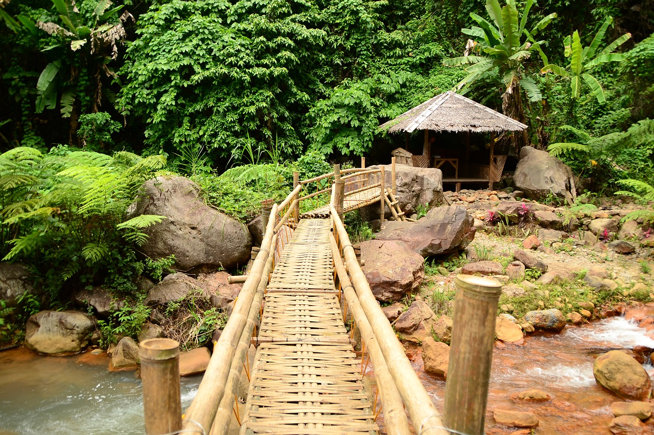 Tiltas, Bambukas, Perėjimas, Nemokamos Nuotraukos,  Nemokama Licenzija