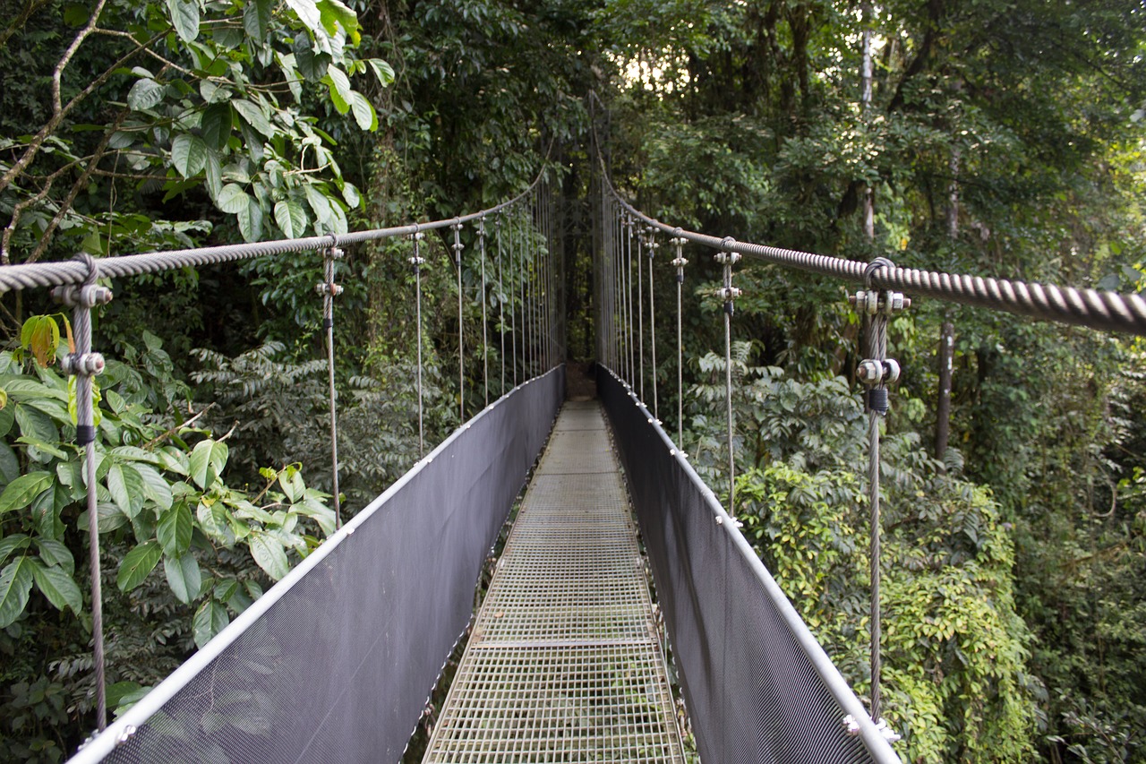 Tiltas, Atogrąžų Miškai, Kosta Rika, Nemokamos Nuotraukos,  Nemokama Licenzija