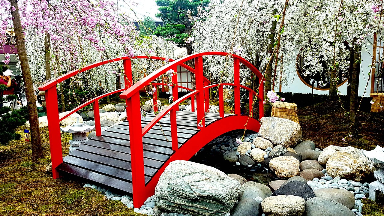 Tiltas, Vyšnių Žiedas, Kraštovaizdis, Sakura, Japonija, Gėlė, Peizažas, Pavasaris, Žydi, Pavasaris