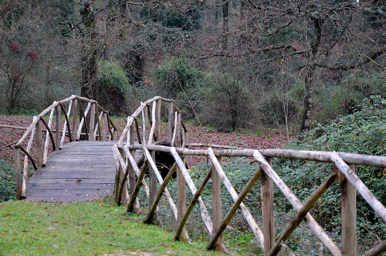 Tiltas, Ponte Di Legno, Miškas, Gamta, Nemokamos Nuotraukos,  Nemokama Licenzija