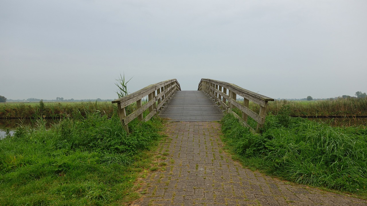 Tiltas, Kraštovaizdis, Kelias, Polderis, Gamta, Nyderlandai, Fryzija, Holland, Olandų Kraštovaizdis, Žalias