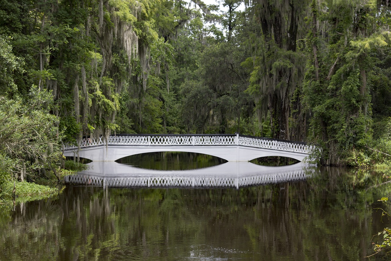 Tiltas, Charleston South Carolina, Plantacija, Nemokamos Nuotraukos,  Nemokama Licenzija