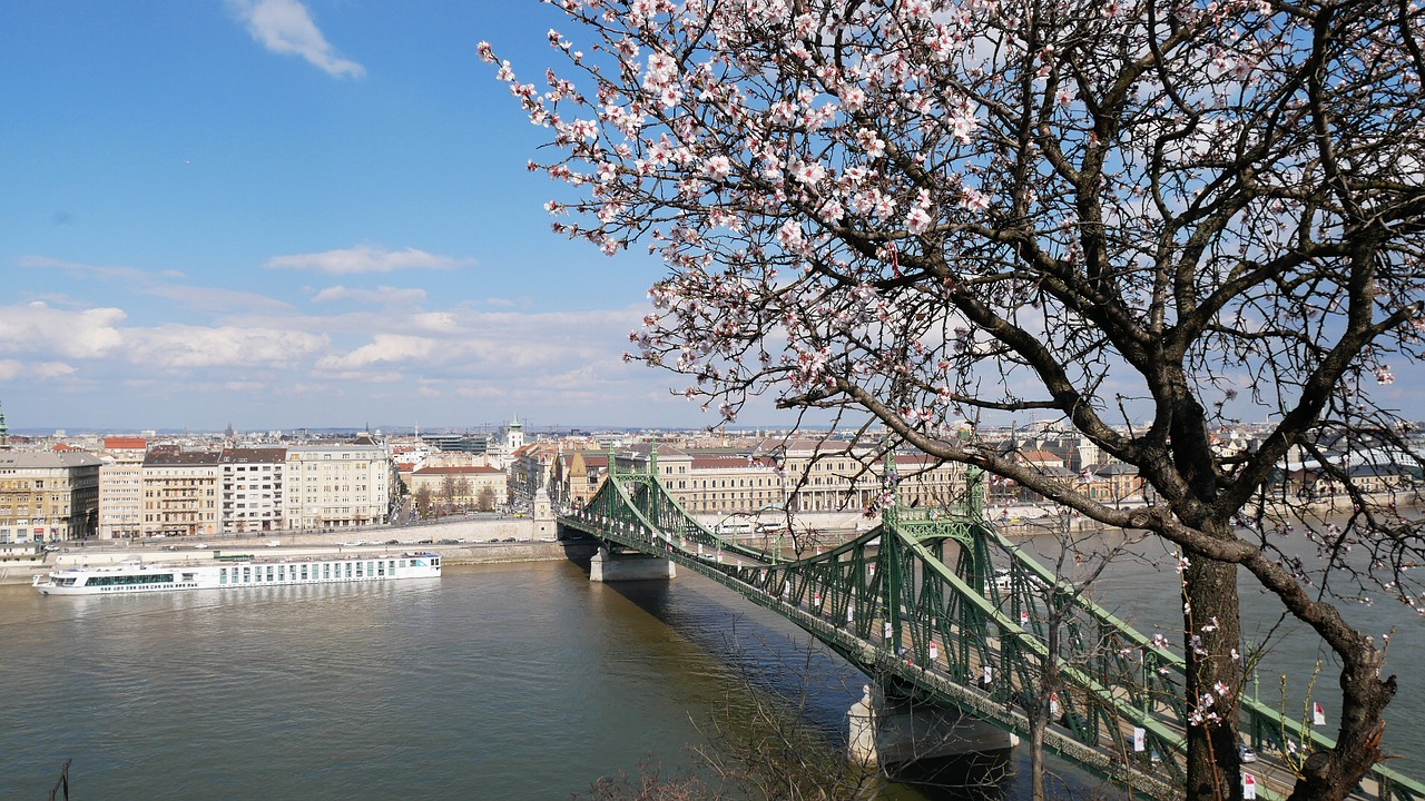 Tiltas,  Budapest,  Vengrija,  Ungarn,  Danube,  Upė,  Kelionė,  Žinomas,  Miesto,  Miesto Panorama