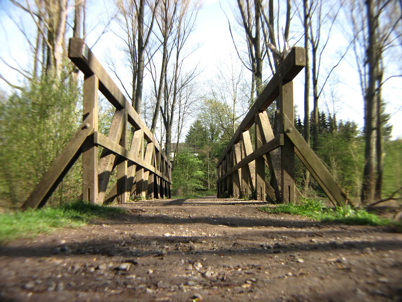 Tiltas, Miškas, Miško Takas, Gamta, Kelyje, Idilija, Toli, Kraštovaizdis, Medis, Medžiai